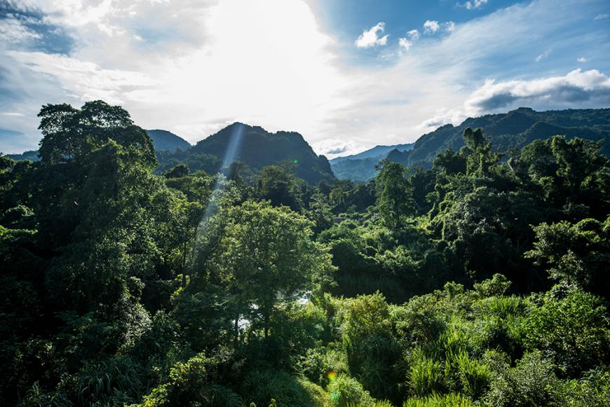 Nick Ross Word Vietnam Phong Nha 