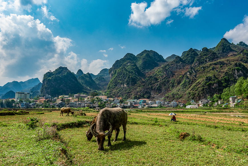 Dong Van City Ha Giang Loop