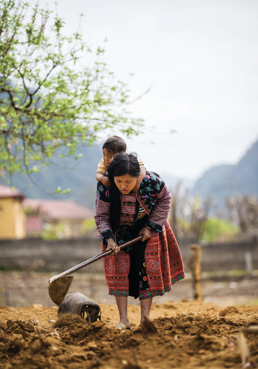 hmong ethnic group vietnam