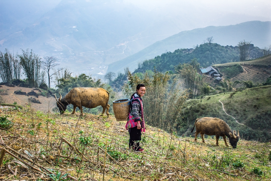 sapa trekking with local guide