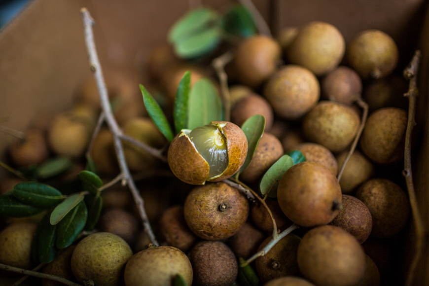 exotic fruits of vietnam