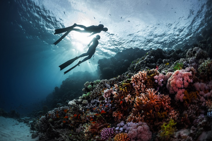 Hon Ong Nha Trang Diving