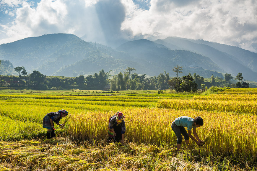 transport to mu cang chai