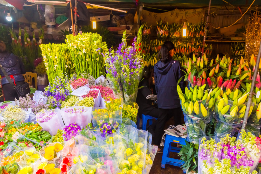 hanoi shopping