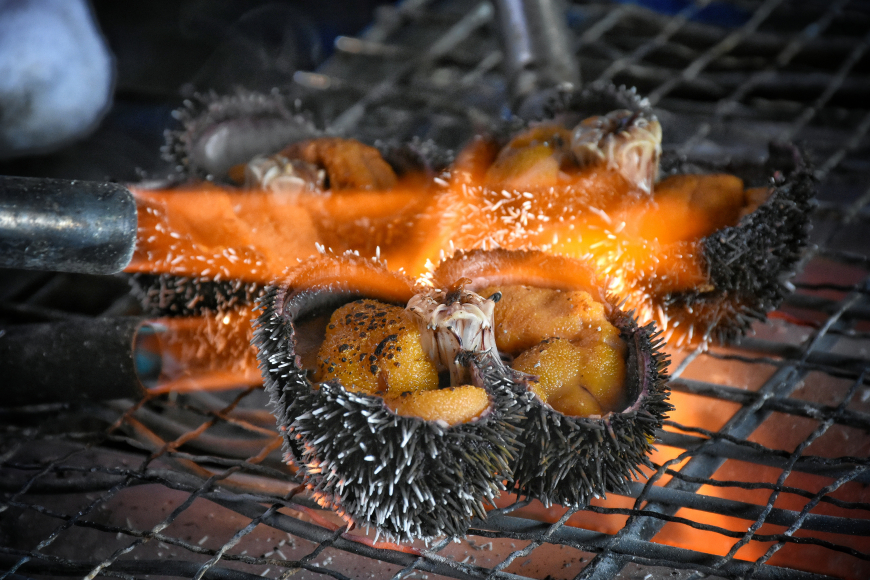 sea urchins coocking