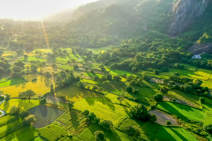 Morning with sunshine on the fields in An Giang