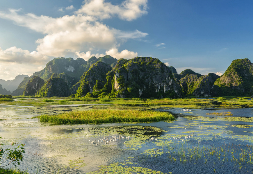 Van Long Nature Reserve