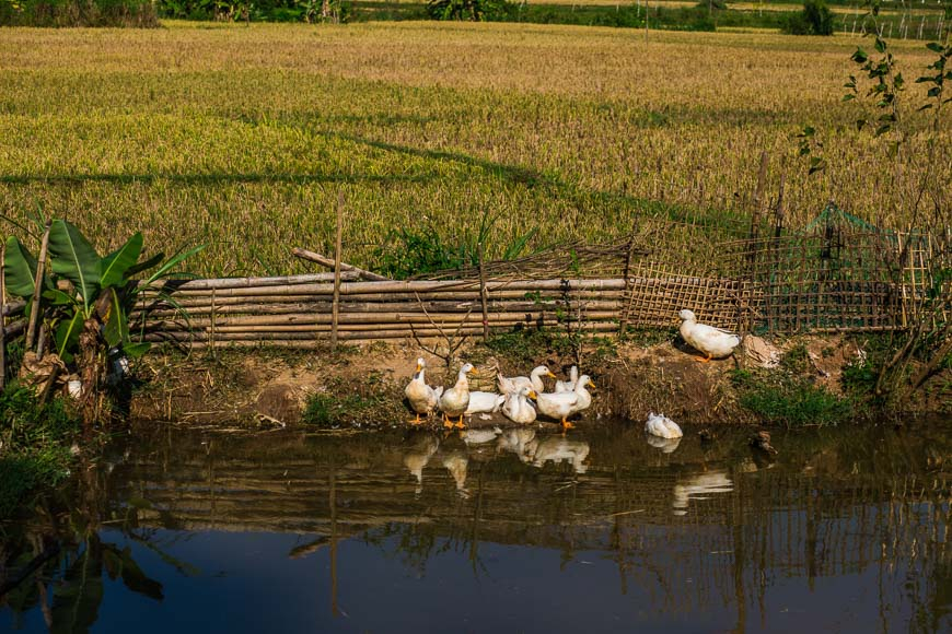 things to do Mai Chau