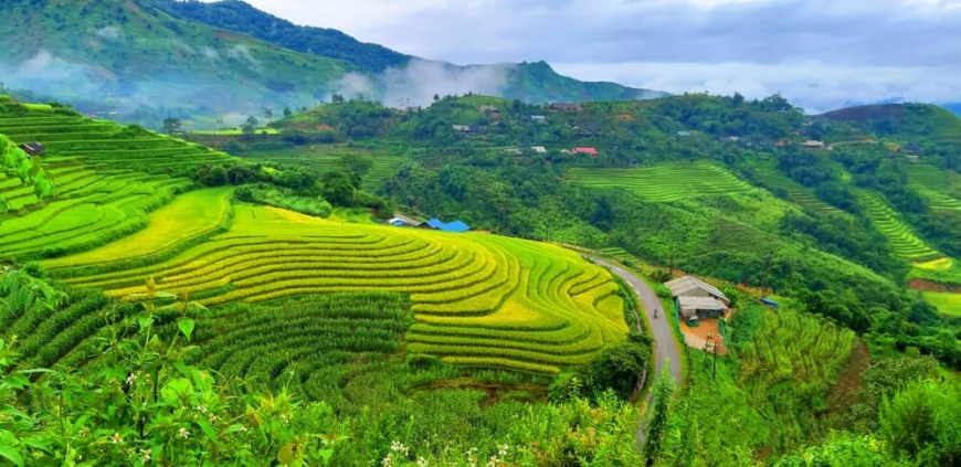 terraces in Lai Chau